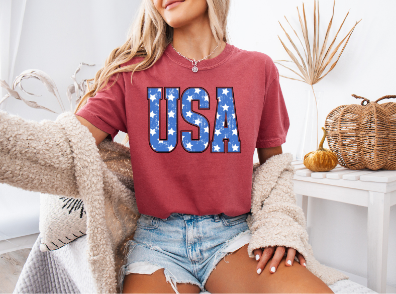 USA Distressed Stars Tee