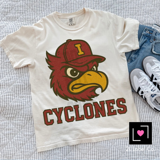 Made To Order-Adult and youth Vintage Mascot Cy